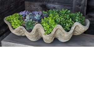 Shell Planter